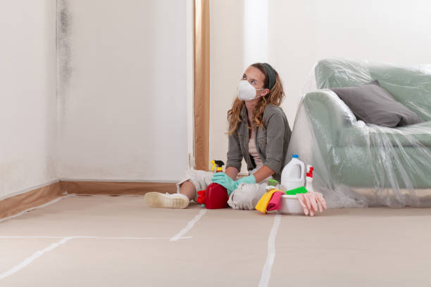 Reliable Basement Mold Remediation contractor in Wilmington, IL by WQB Mold Removal